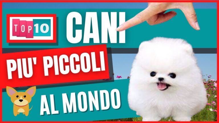La Razza di Cane Più Piccolo del Mondo