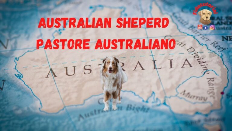 Guida Completa al Pastore Austriaco: Caratteristiche e Cura