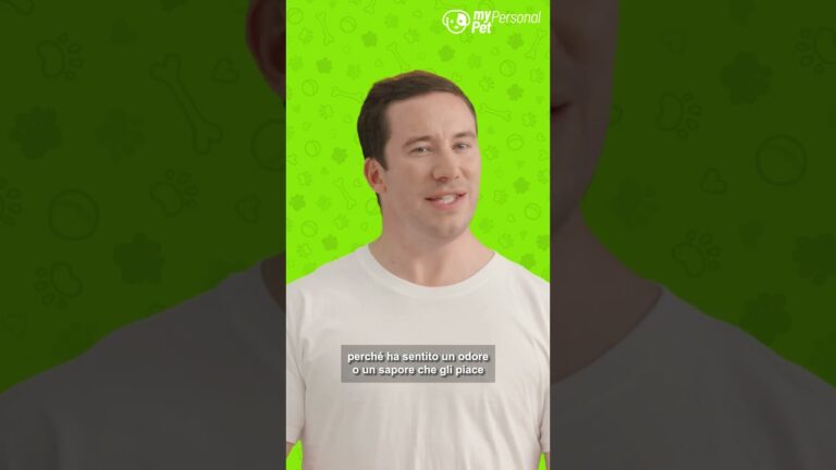 Perché i cani leccano i piedi?